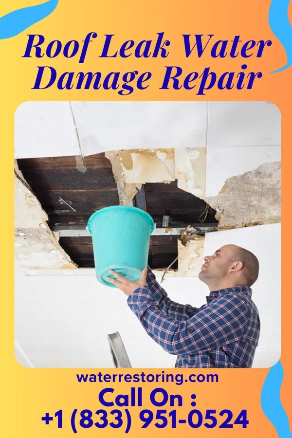 Roof Leak Water Damage Repair in Wahoo, NE